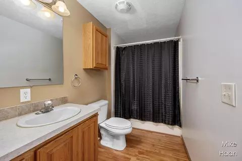 16842 White Rd, Bailey, MI 49303 photo 13