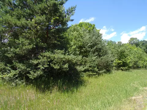 N 9 Road, Mesick, MI 49668 photo 2