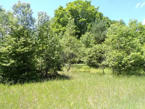 N 9 Road, Mesick, MI 49668 photo 8