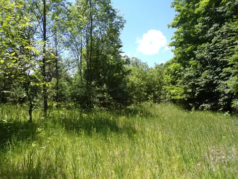 N 9 Road, Mesick, MI 49668