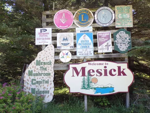N 9 Road, Mesick, MI 49668 photo 3
