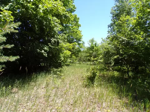 N 9 Road, Mesick, MI 49668 photo 6