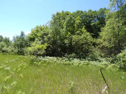 N 9 Road, Mesick, MI 49668 photo 7