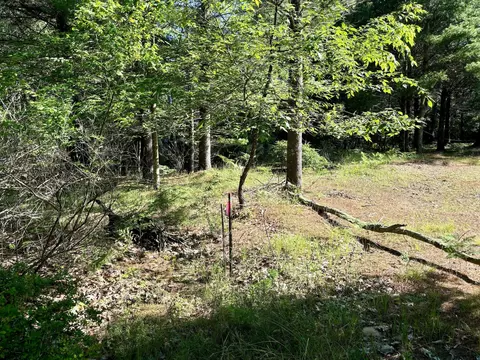 0002 Ferndale Drive Lots 4 5 6 Dr #LOT S 4, 5, 6, Onekama, MI 49675