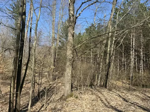 tbd 230th Ave, Big Rapids, MI 49307 photo 33