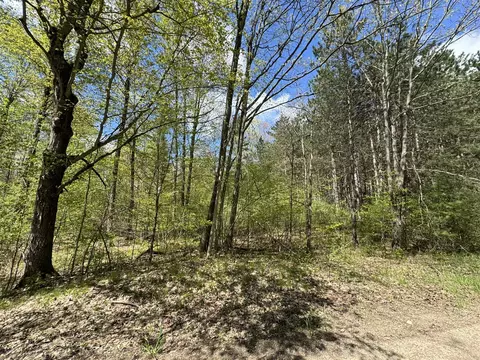 tbd 230th Ave, Big Rapids, MI 49307 photo 8