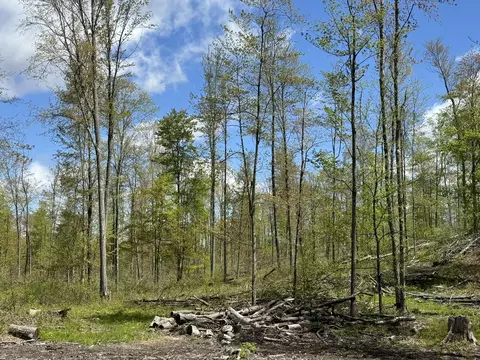 tbd 230th Ave, Big Rapids, MI 49307 photo 5
