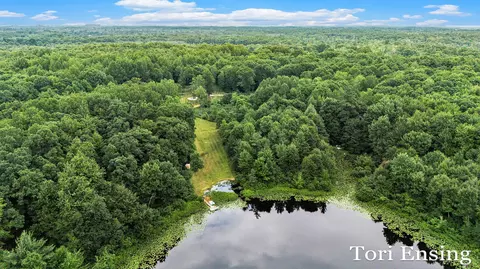 9634 Amsden Rd, Fenwick, MI 48834 photo 33