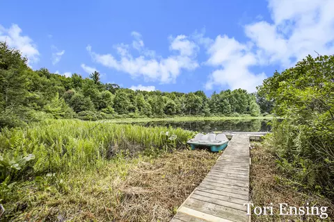 9634 Amsden Rd, Fenwick, MI 48834 photo 6