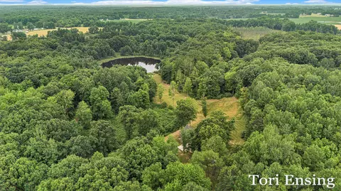 9634 Amsden Rd, Fenwick, MI 48834 photo 30