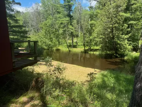 8182 W River Rd, Irons, MI 49644 photo 9