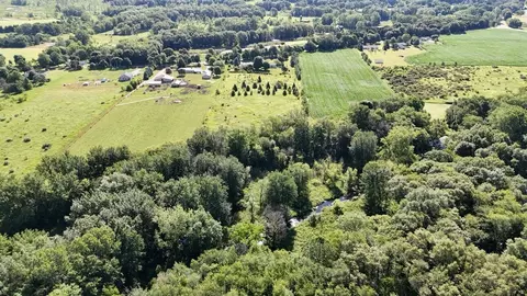 19430 Homer Rd, Marshall, MI 49068 photo 7