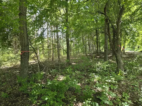 00 Hoover Rd # -2, Barryton, MI 49305