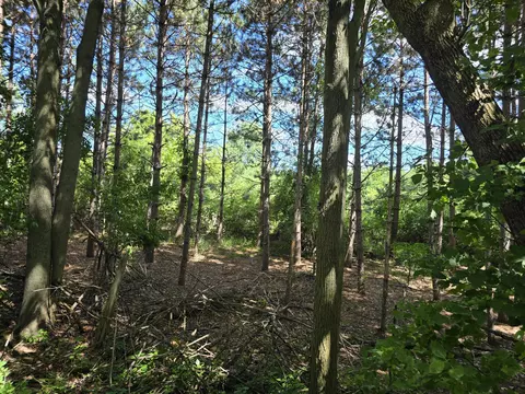 00 Hoover Rd # -1, Barryton, MI 49305