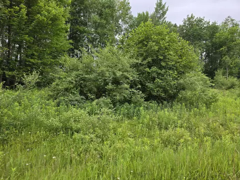 0 Lake Rd, Barryton, MI 49305