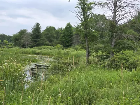 00 Lake Rd # -2, Barryton, MI 49305