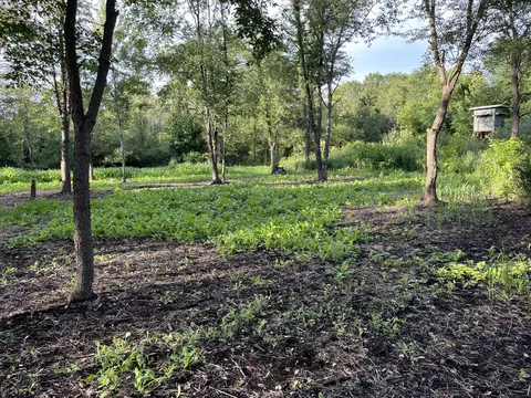 Vl Flat River Trail, Belding, MI 48809 photo 23