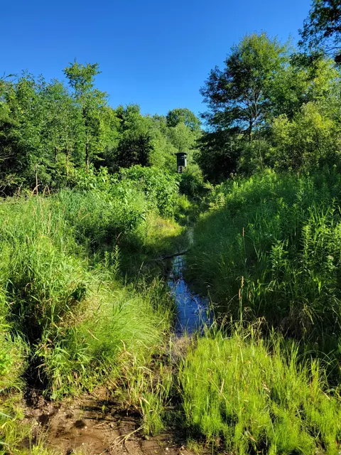 Vl Flat River Trail, Belding, MI 48809 photo 16