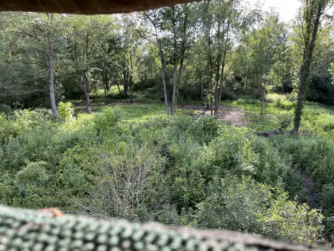 Vl Flat River Trail, Belding, MI 48809 photo 26