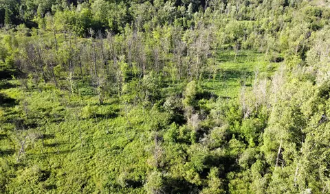 Vl Flat River Trail, Belding, MI 48809 photo 4