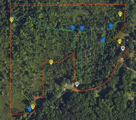 Vl Flat River Trail, Belding, MI 48809 photo 3
