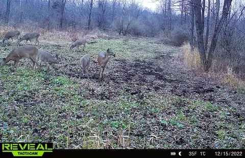 Vl Flat River Trail, Belding, MI 48809 photo 42