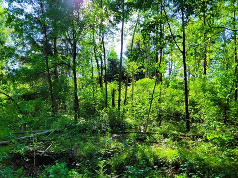 Vl Flat River Trail, Belding, MI 48809 photo 19