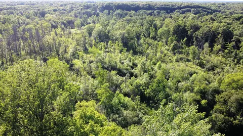 Vl Flat River Trail, Belding, MI 48809 photo 5