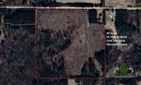 Vl Hoover Road, Barryton, MI 49305