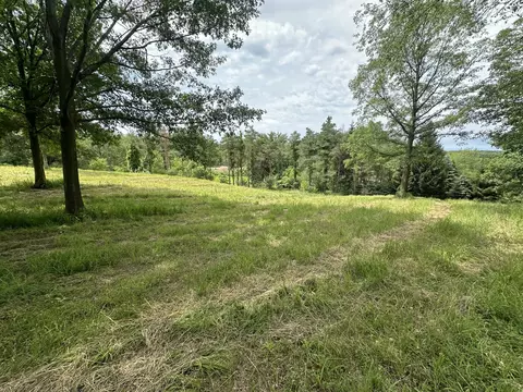 108 Th St, Freeport, MI 49325 photo 10