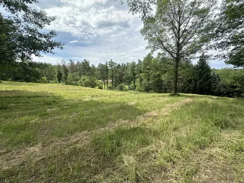 108 Th St, Freeport, MI 49325 photo 9