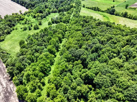 Vl Block Rd, Coldwater, MI 49036 photo 49
