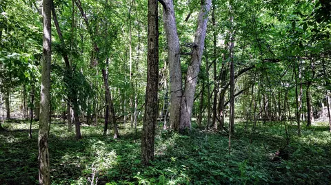 Vl Block Rd, Coldwater, MI 49036 photo 60