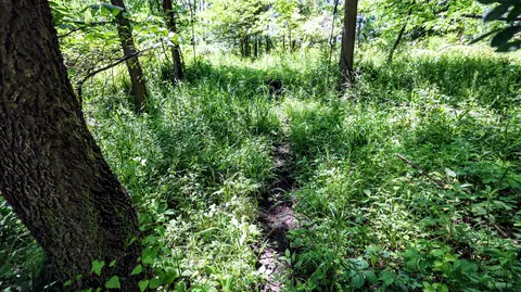 Vl Block Rd, Coldwater, MI 49036 photo 43