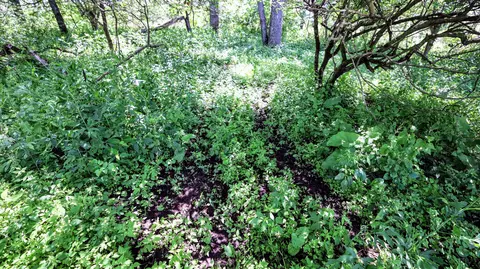 Vl Block Rd, Coldwater, MI 49036 photo 38