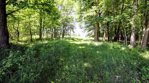 Vl Block Rd, Coldwater, MI 49036 photo 28
