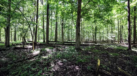 Vl Block Rd, Coldwater, MI 49036 photo 16