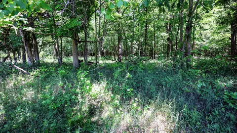 Vl Block Rd, Coldwater, MI 49036 photo 30