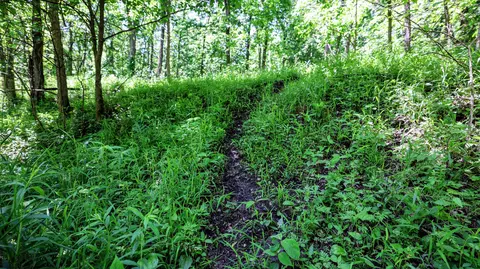 Vl Block Rd, Coldwater, MI 49036 photo 46