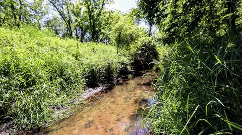 Vl Block Rd, Coldwater, MI 49036 photo 12