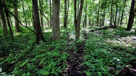 Vl Block Rd, Coldwater, MI 49036 photo 19