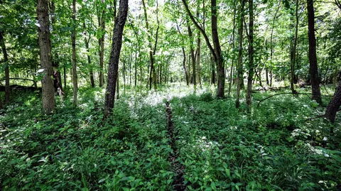 Vl Block Rd, Coldwater, MI 49036 photo 50
