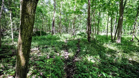 Vl Block Rd, Coldwater, MI 49036 photo 61
