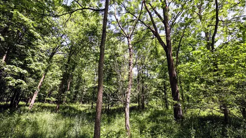 Vl Block Rd, Coldwater, MI 49036 photo 20