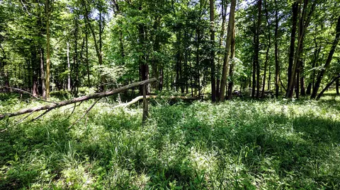 Vl Block Rd, Coldwater, MI 49036 photo 33