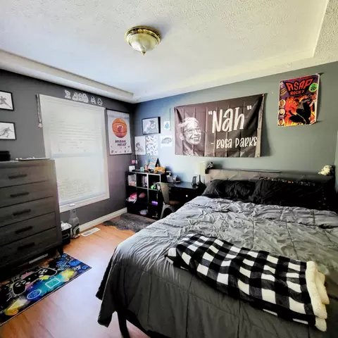 3410 Lyons Rd, Lyons, MI 48851 photo 22