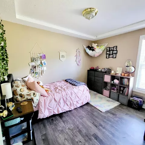 3410 Lyons Rd, Lyons, MI 48851 photo 24