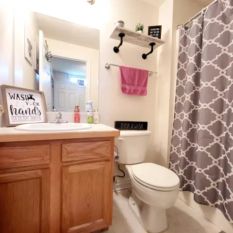 3410 Lyons Rd, Lyons, MI 48851 photo 25