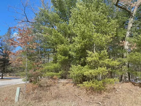 Lynn Street, Baldwin, MI 49304 photo 6