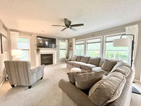 Living - 4848 Ginkgo Ln, Jackson, MI 49201 photo 5 of 5